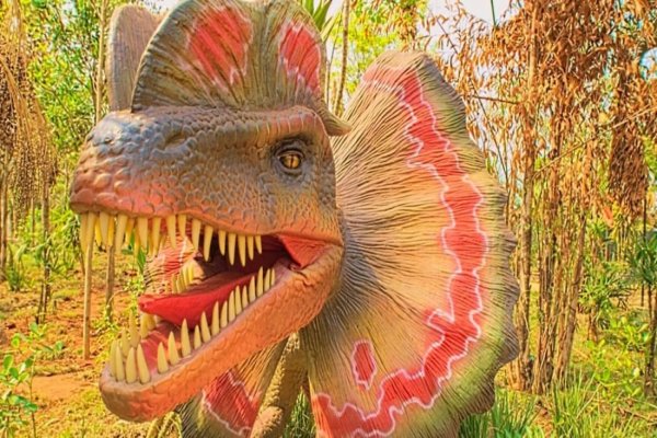 Vale dos Dinossauros