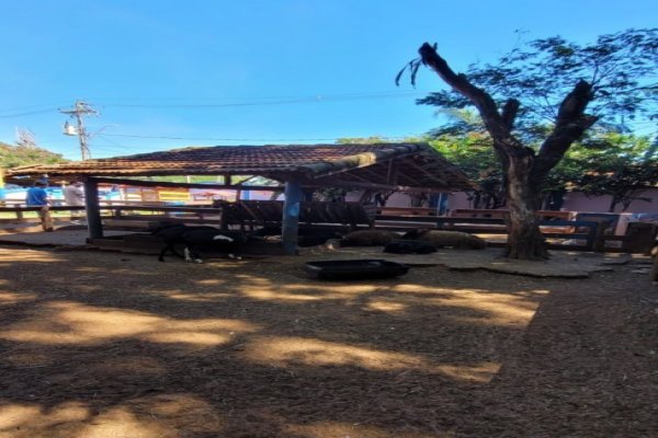 Barretos Park Hotel