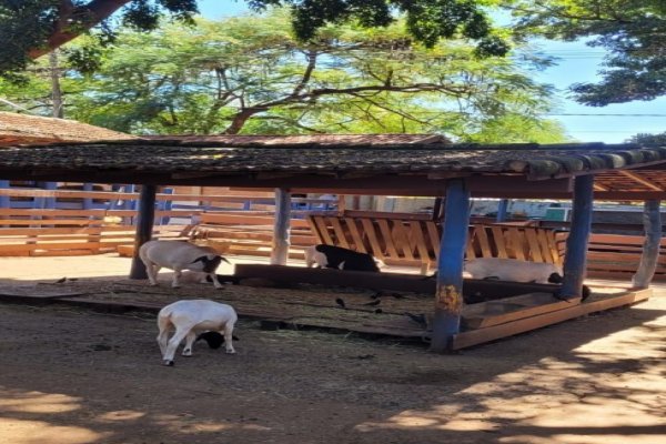Barretos Park Hotel